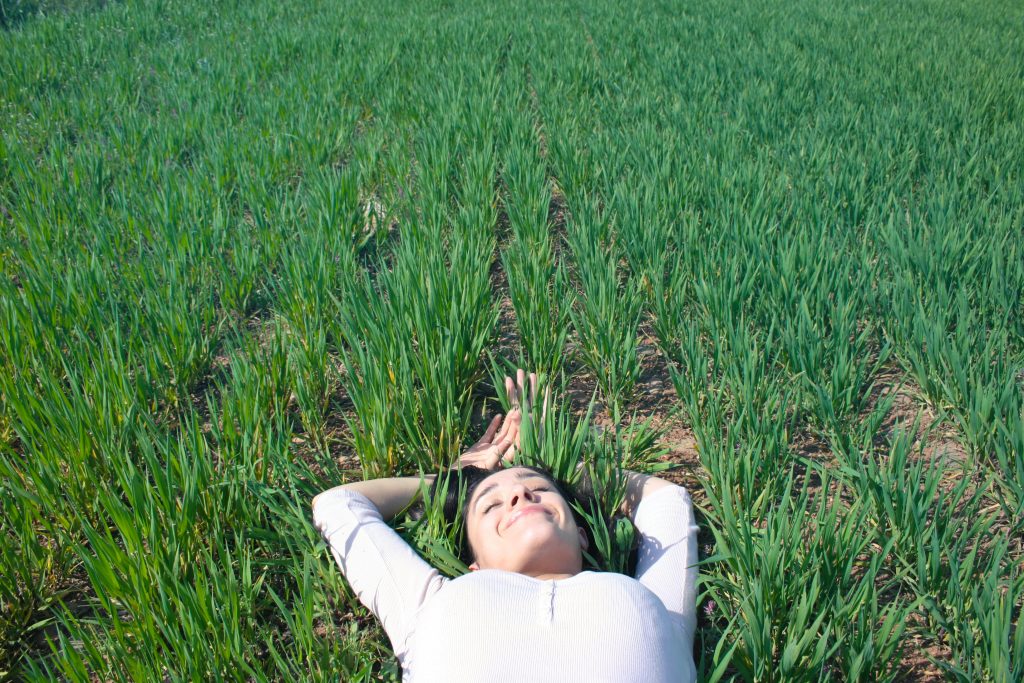 What are the benefits of organic farming