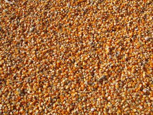 Organic Farming methods/techniques Organic Farming methods/techniques