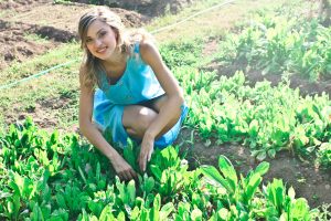 Organic Farming methods/techniques